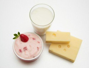 Milk Cheese and Yogurt
