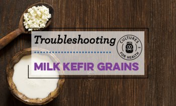 Milk Kefir Grains Troubleshooting FAQ | Milk Kefir Expert Advice | Cultures for Health