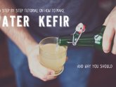 Kefir grains for free