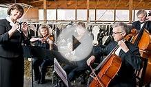 "Everybody Hurts" by R.E.M. Inspires Dairy Cows to Produce